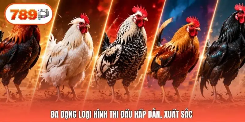 Đa dạng loại hình thi đấu hấp dẫn, xuất sắc 