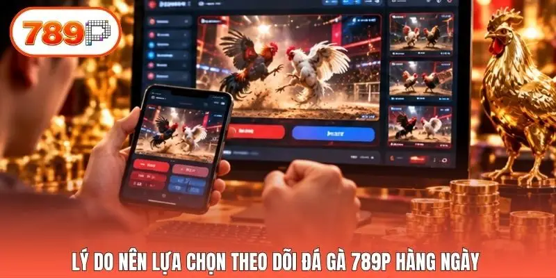 Lý do nên lựa chọn theo dõi đá gà 789p hàng ngày 